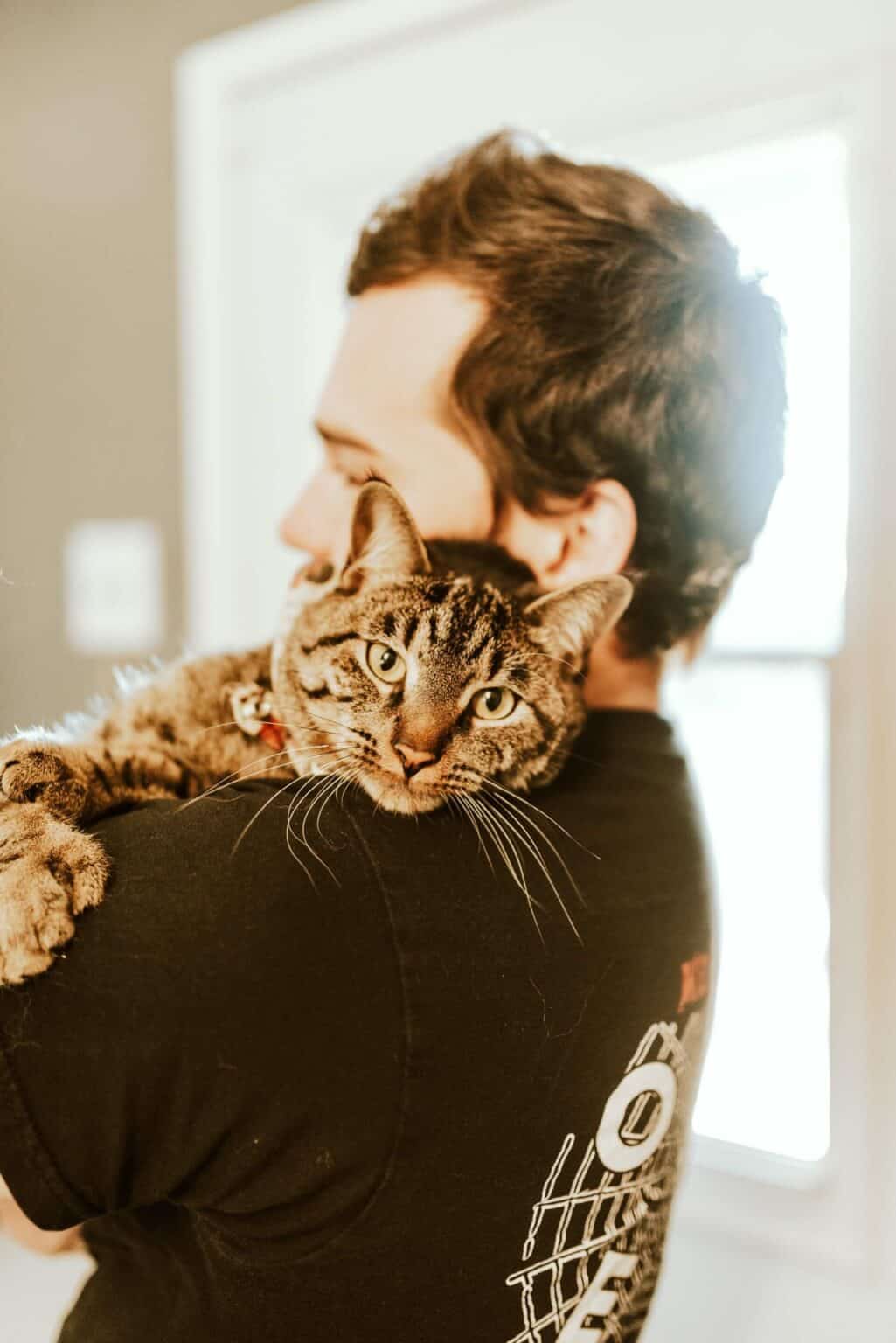 How To Raise A Kitten To Be Cuddly? 8 Love Bonding Tips Cats And