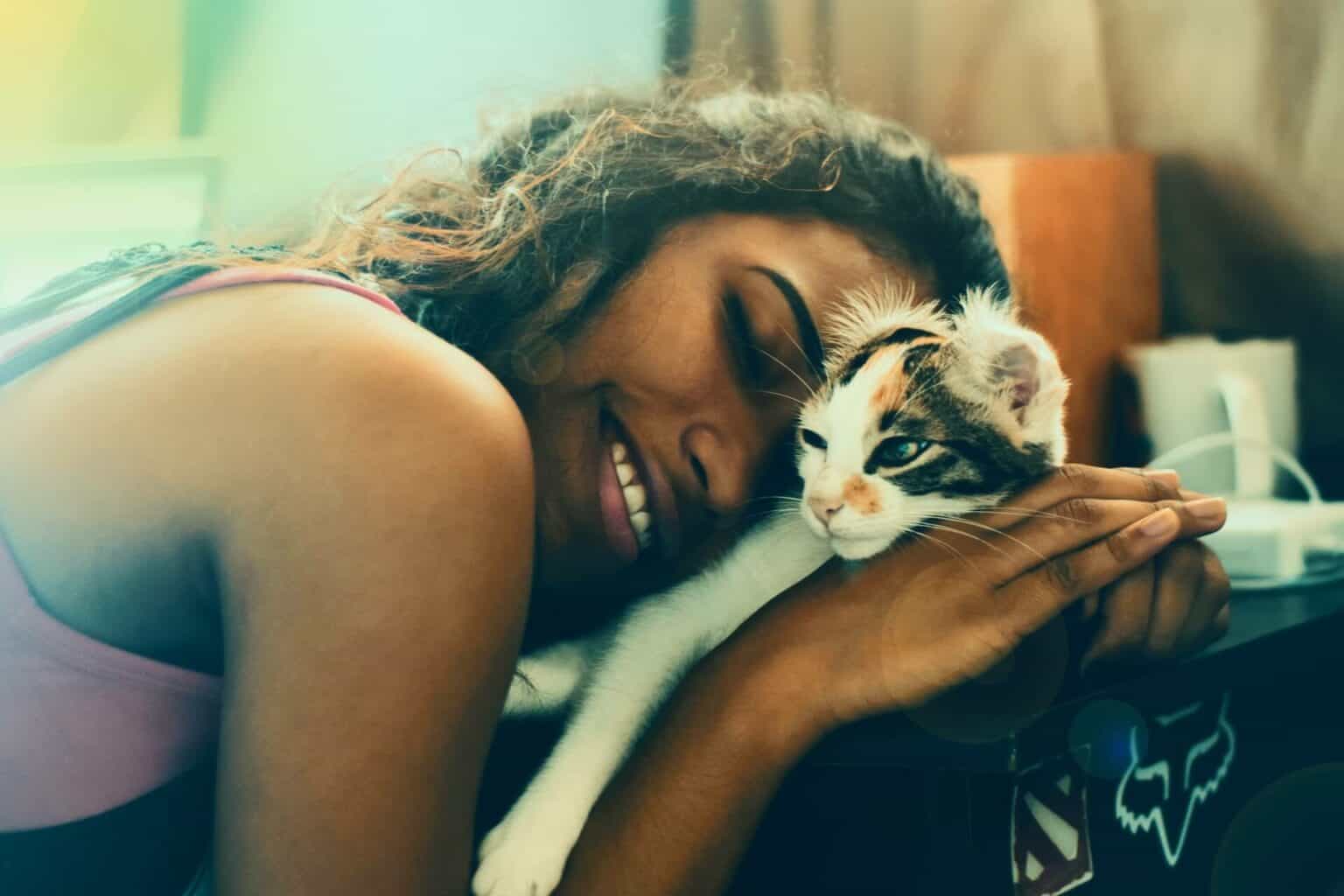 How To Raise A Kitten To Be Cuddly? 8 Love Bonding Tips Cats And