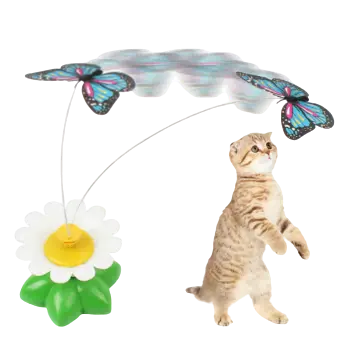 cat toys to play alone